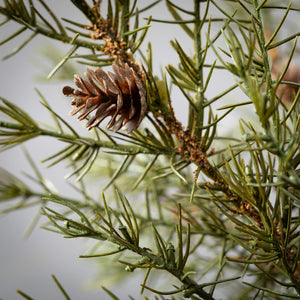 Cedar Pinecone Accent Ring CP794 closeup