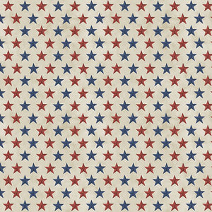 Wilmington Prints Colors of Courage Stars Cotton Fabric 50009 – Good's  Store Online