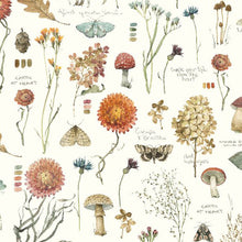 Season's Study Collection Garden Cotton Fabric 17835 cream 