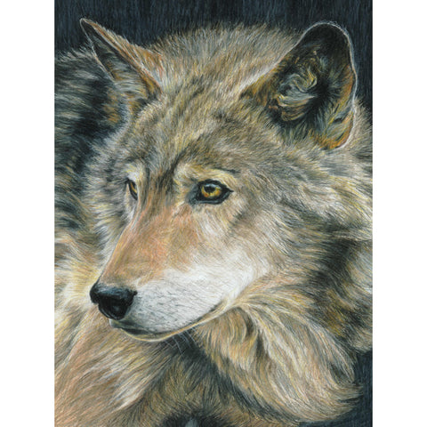 Wolf picture