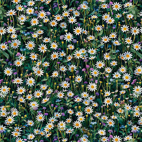 daisies, Earthly Delights Collection Cotton Fabric 31