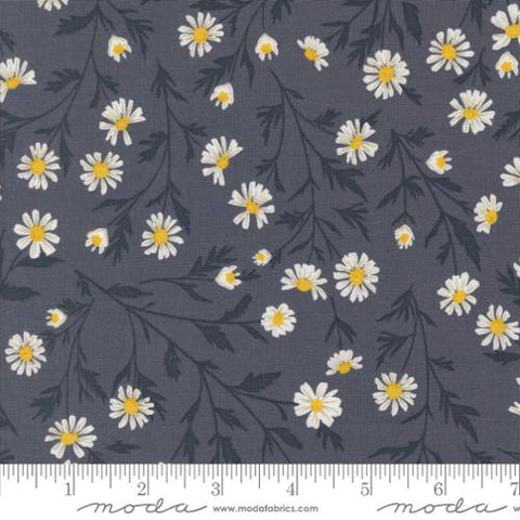 dark blue, Sun Drenched Collection Wild Daisy Cotton Fabric 43200