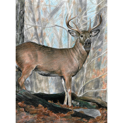 deer-picture