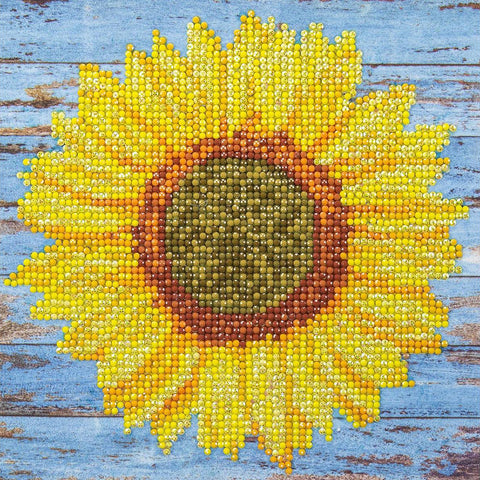 Beginner Diamond Art Kit Sunflower DMA50446