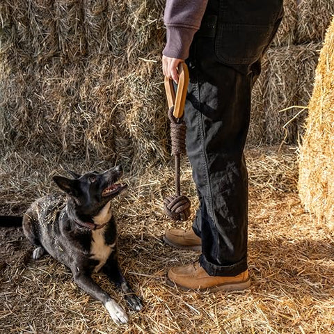 Dog with Carhartt brown rubber handle monkey fist dog pull