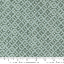 Happiness Blooms Collection Fern Flowers Cotton Fabric eucalyptus