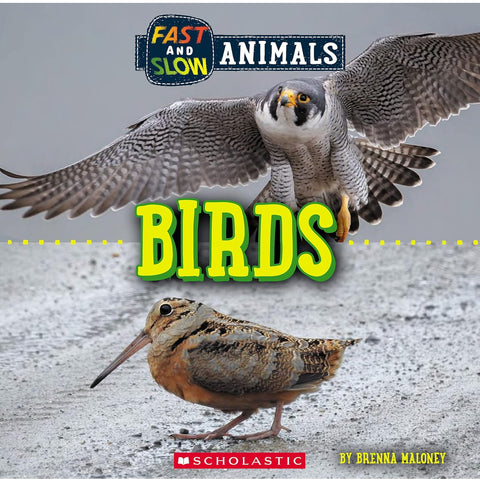 Fast and Slow: Birds 9781338836530