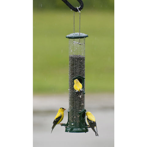 Finch feeder.