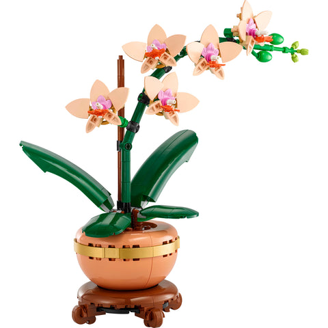 finished product, LEGO Botanicals Mini Orchid Building Set 10343
