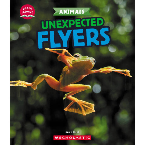Unexpected Flyers 9781546101260
