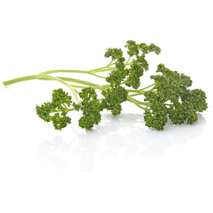 Forest Green Parsley