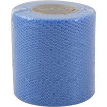French blue mesh net roll