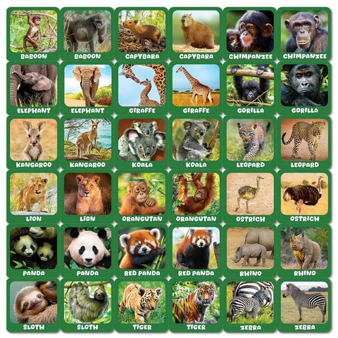 Jr. Zookeeper Matching Game 42531