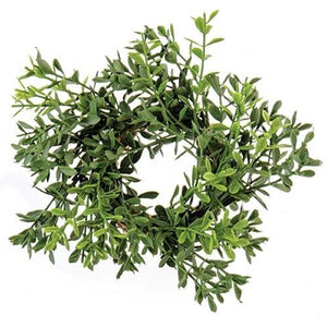 New England Boxwood Candle Ring FXP78275