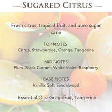 Sugared Citrus Fragrance Notes