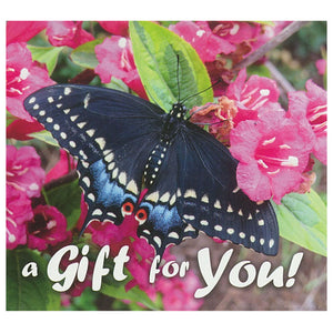 Good's Store Gift Card in a Black Swallowtail Butterfly Holder