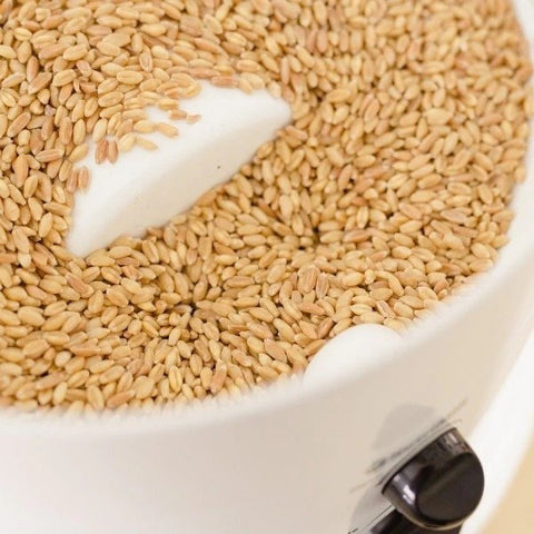 Grain in hopper of NutriMill Classic Grain Mill