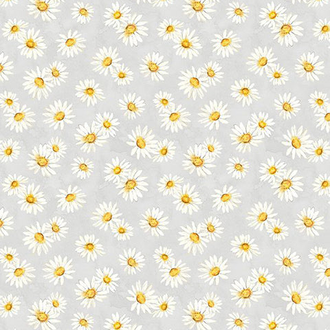 Zest for Life Collection Daisy Toss Cotton Fabric 19156 gray