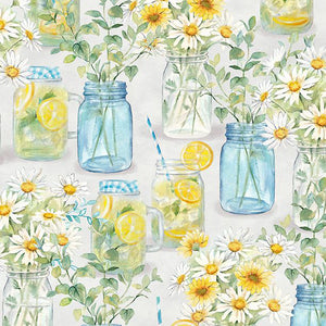 Zest for Life Collection Mason Jars Cotton Fabric 19153-547 gray