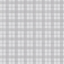 Zest for Life Collection Plaid Cotton Fabric 19159 gray