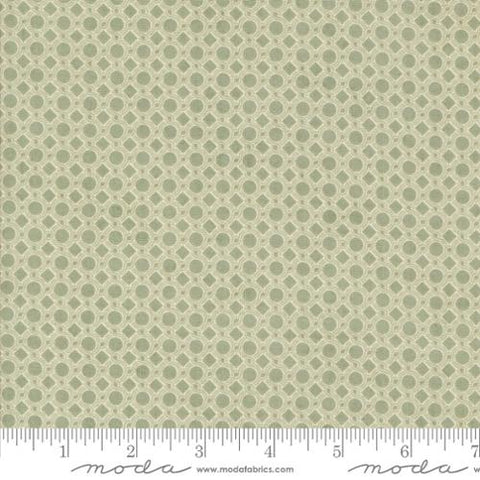 green, Acorn Hollow Collection Geometric Dot Cotton Fabric 30768