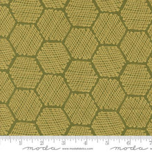 green, Bee Garden Collection Honeycomb Cotton Fabric 48416