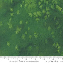 Floribunda Collection Basic Watercolor Cotton Fabric 8433 green