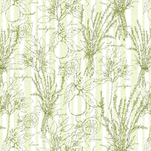 green, Lavender Lemonade Collection Toile Stripe Cotton Fabric 39885