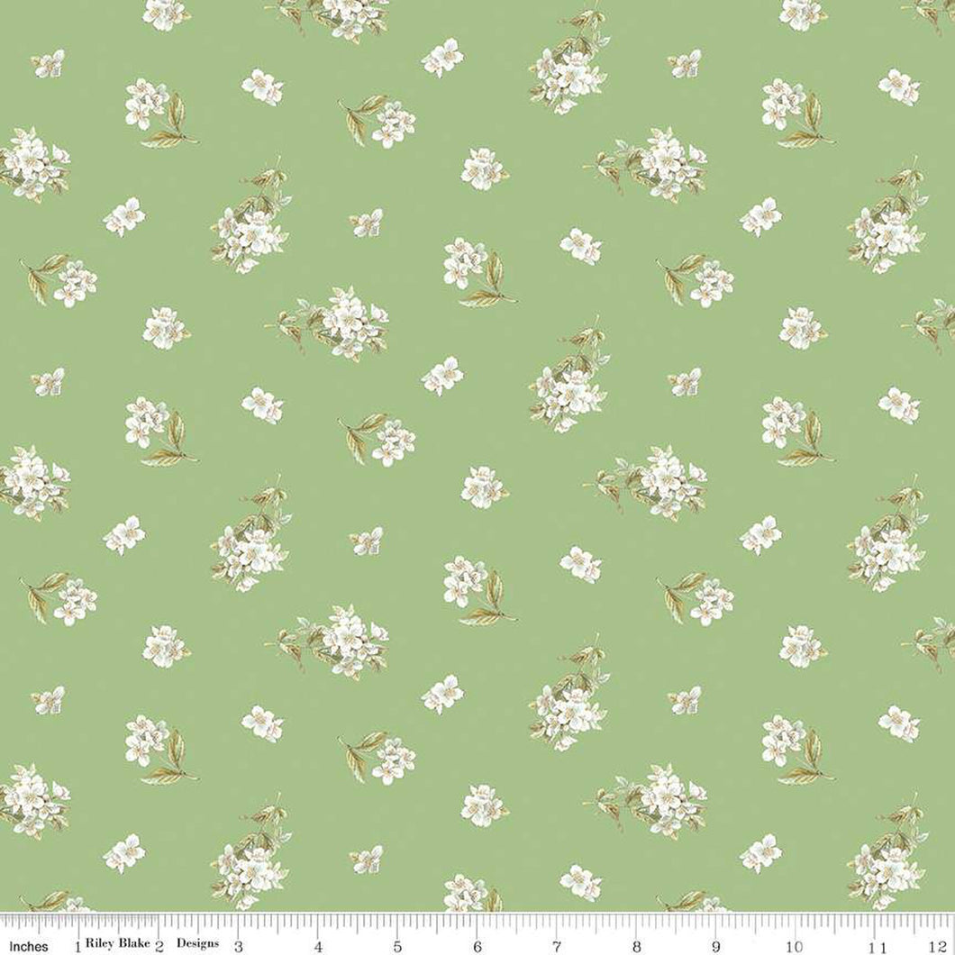Green, Peter Rabbit and Friends Collection Jasmine Cotton Fabric CD15864