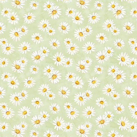 Zest for Life Collection Daisy Toss Cotton Fabric 19156 green