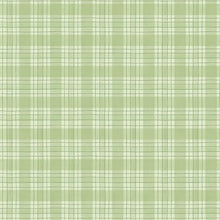 Zest for Life Collection Plaid Cotton Fabric 19159 green