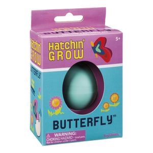 Grow Butterfly egg in box
