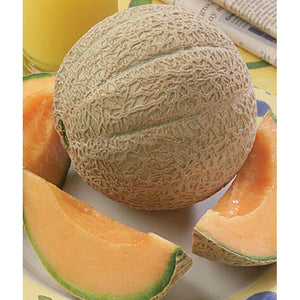 Cantaloupes