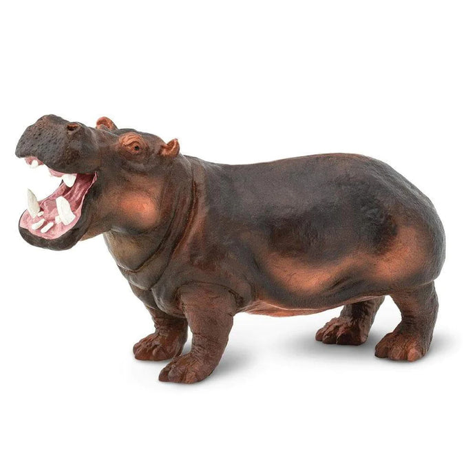 Hippopotamus 229029