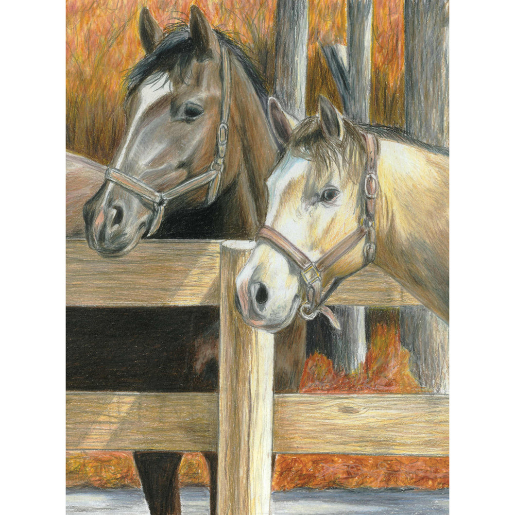 Horse drawing