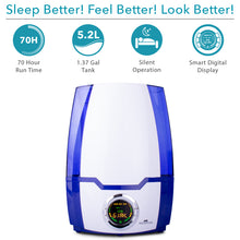 Cool Mist humidifier features