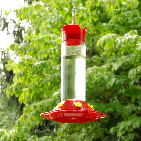 Hummningbird feeder in use
