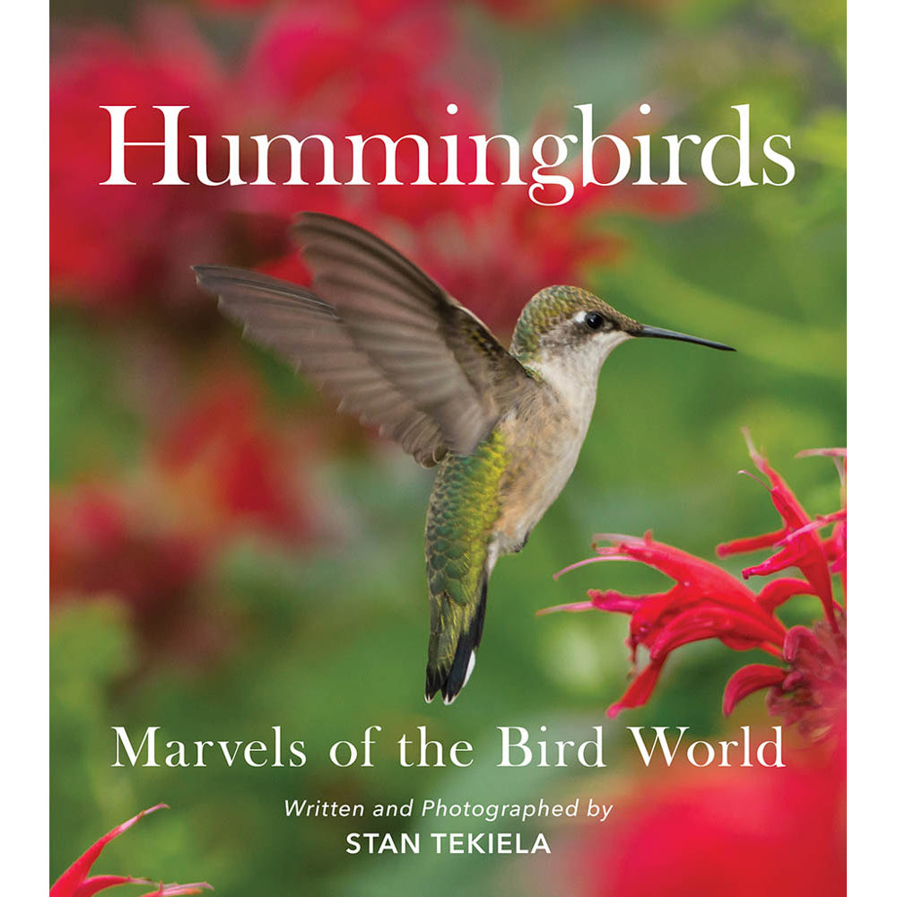 Hummingbirds 9781647552466