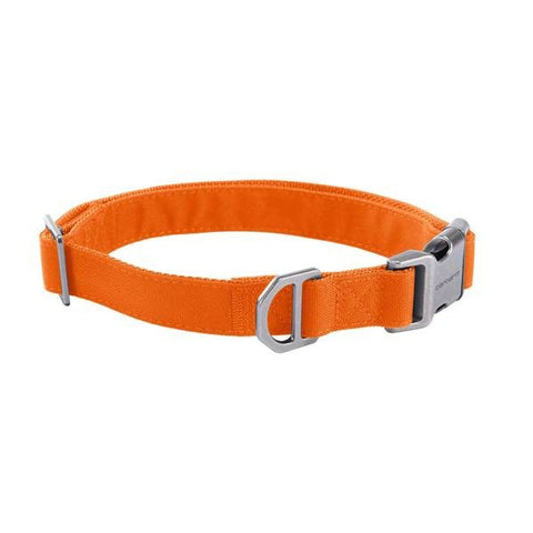 Carhartt canvas Field Dog Collar in Hunter Orange