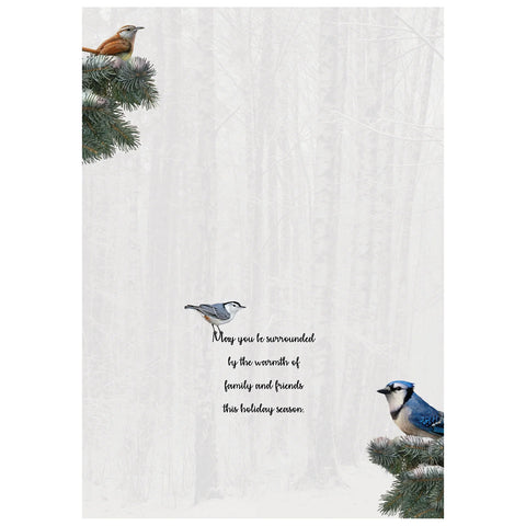 Bird Feeder Boxed Christmas Cards 52773