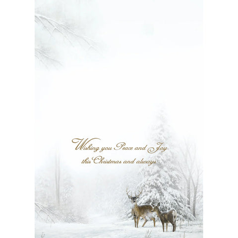 Wishing You Peace Boxed Christmas Cards 52681