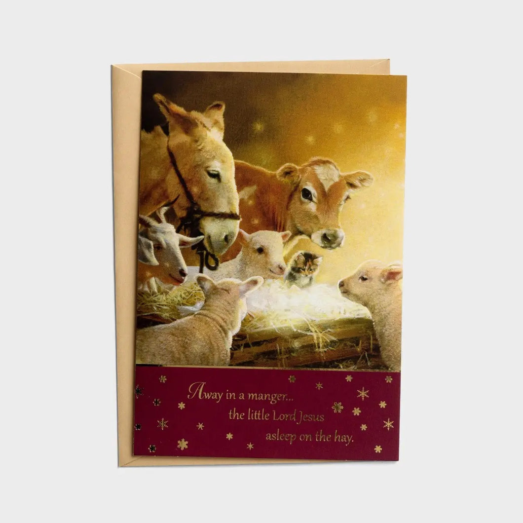 Away in a Manger Boxed Christmas Cards J6340