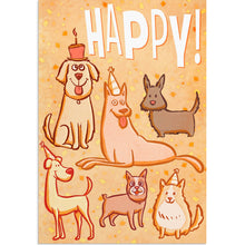 Boxed Cards Birthday Pet Party J7443