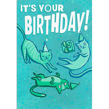 Boxed Cards Birthday Pet Party J7443