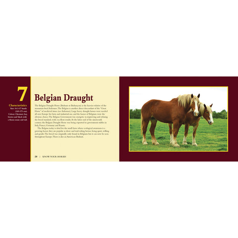 Know Your Horses Book by Jack Byard 9781912158492