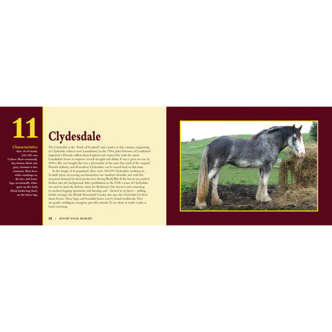 Know Your Horses Book by Jack Byard 9781912158492