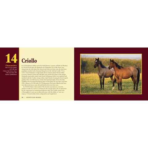 Know Your Horses Book by Jack Byard 9781912158492