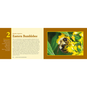 Know Your Pollinators book inside