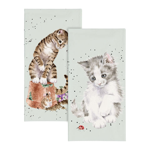 Ladybird Kittens Pocket Tissues