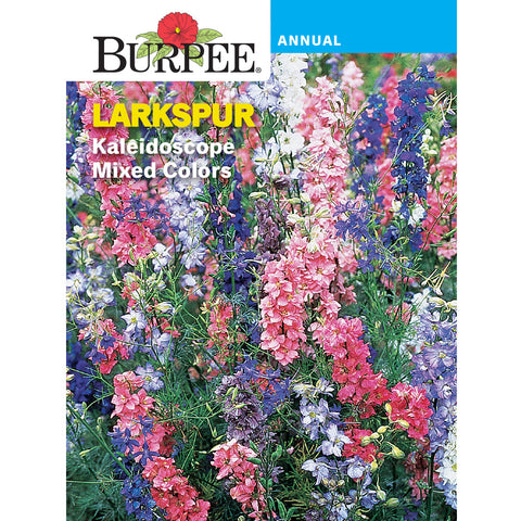 Larkspur flower seed pack